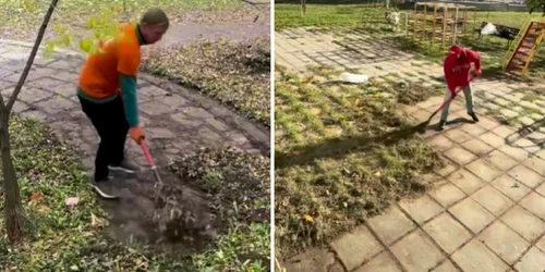 un roman curata parcuri si spatii publice in bulgaria foto captura video instagram fixer dad  png