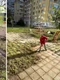 un roman curata parcuri si spatii publice in bulgaria foto captura video instagram fixer dad  png