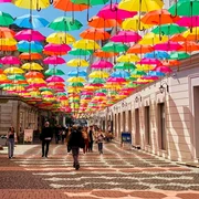 Strada Alba Iulia din Timișoara FOTO Ștefan Both
