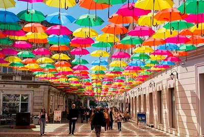Strada Alba Iulia din Timișoara FOTO Ștefan Both