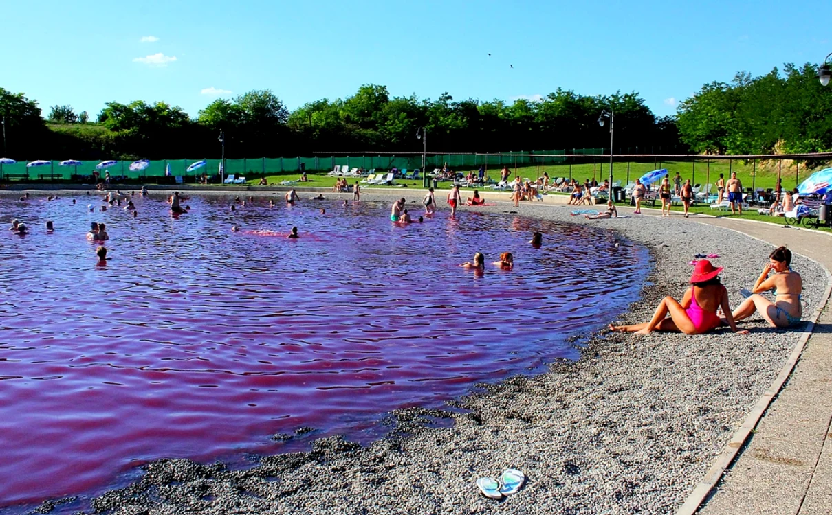lac violet 