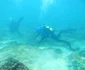 Cercetătorii de la Constanţa fac scufundări în Marea Neagră pentru descoperirea vestigiilor Foto Geo Eco Mar