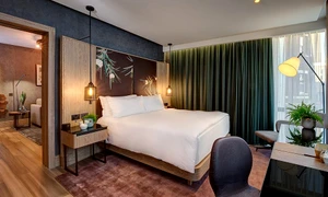 Toate materialele de mobilier din apartamentul de lux sunt ecologice jpeg