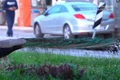 pauni Italia captură video jpg