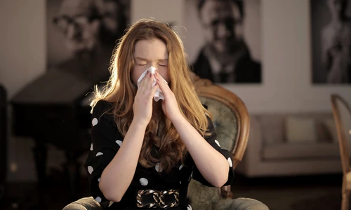 1 pexels photo 3783806 jpg jpeg