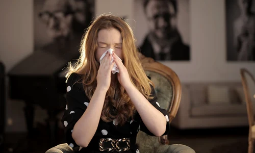 1 pexels photo 3783806 jpg jpeg