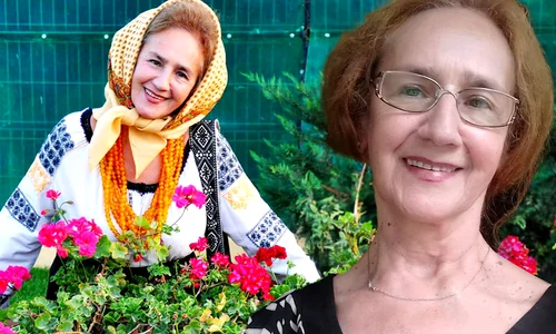 Banner Sofia Vicoveanca