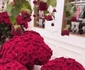 18 philipp plein cadou de sfantul valentin pentru logodnica lucia bartoli insarcinata cu al doilea lui copil 17 jpg jpeg
