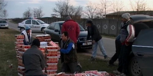 Arhivă