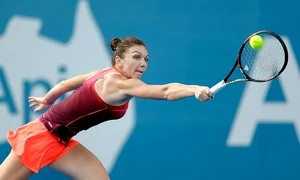 sydney simona halep jpeg