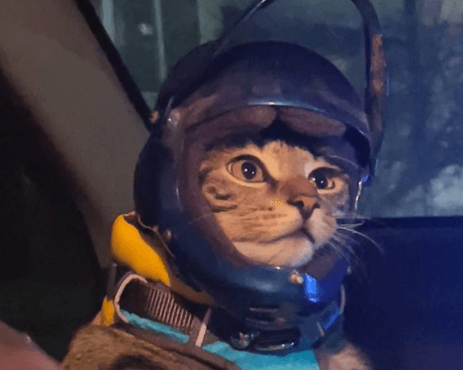 Content image