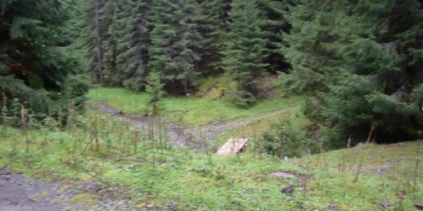 DSC 0145 mp4 thumbnail png