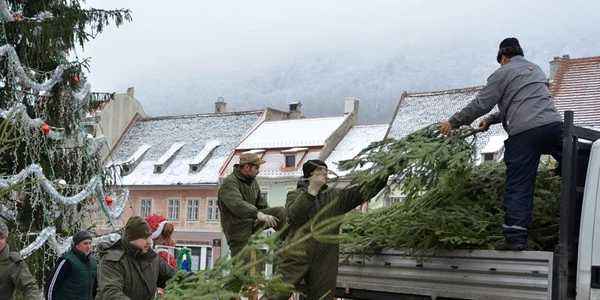 Brazii sunt colectaţi de firmele de salubritateFOTOPrimăria Braşov