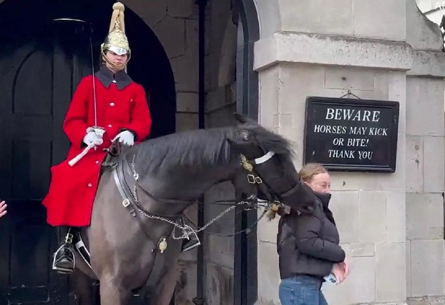 Ce nu știai despre caii Gărzii Regale de la Palatul Buckingham: mușcă și te lovesc dacă te apropii VIDEO