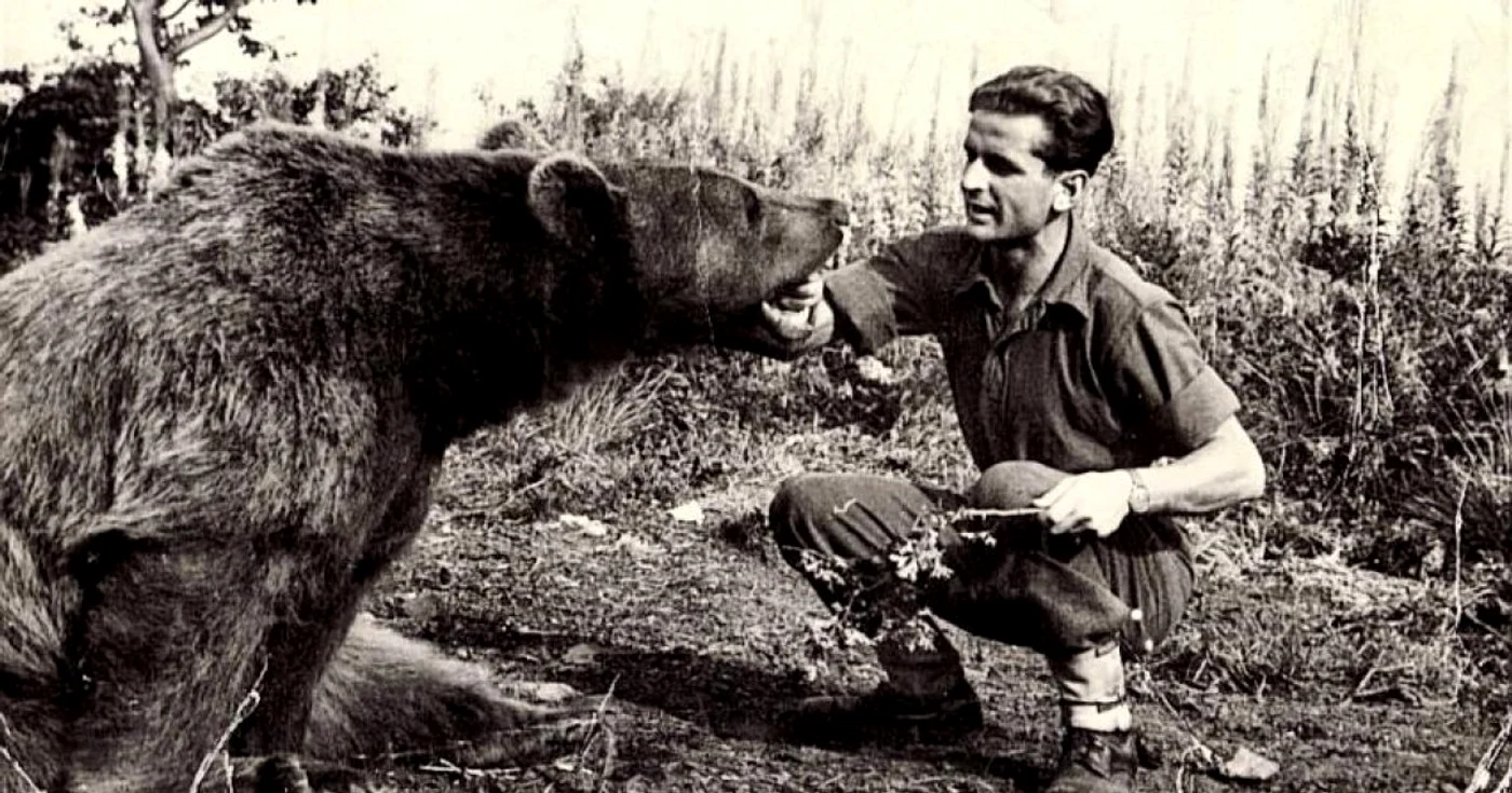 Ursul Wojtek