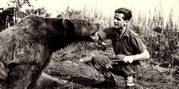 Ursul Wojtek