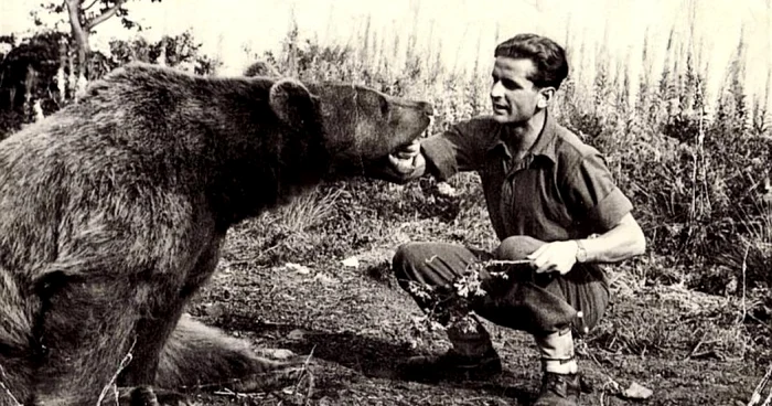 Ursul Wojtek