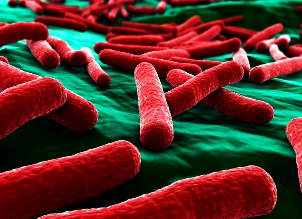 FOTO: Shutterstock