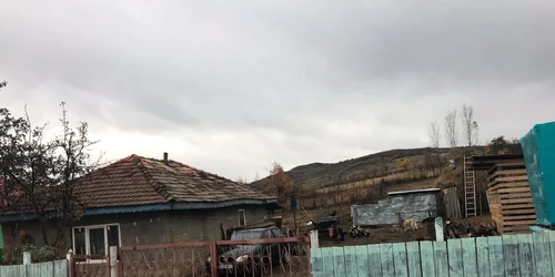 masina