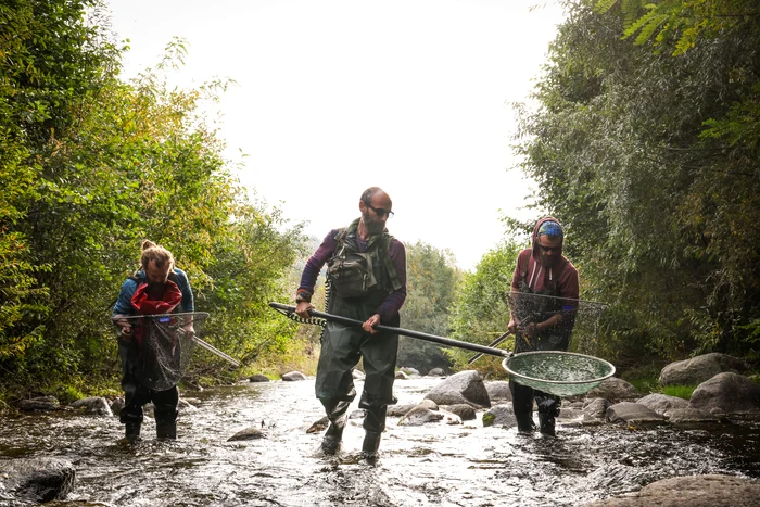Echipa ce a realizat spectaculoasa descoperire a inclus și 9 biologi FOTO Alex Găvan
