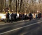 padurea stejarul braila