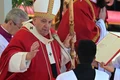 papa francisc5 png