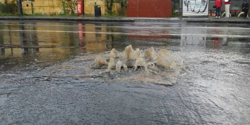 inundatii stadion brasov FOTO Andrei Paul