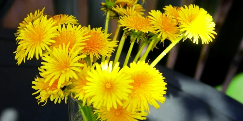 Remedii care te ajută să slăbeşti