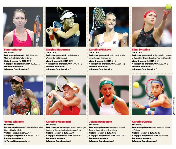 infografie halep