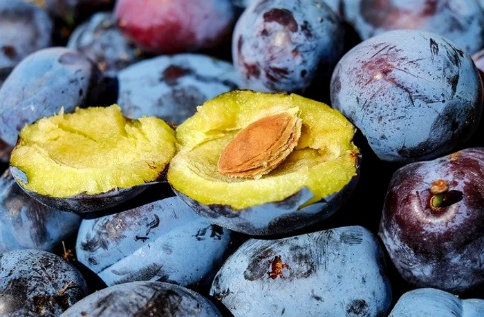 Cura cu prune proaspete este un tonic pentru organism Foto: pixabay.com