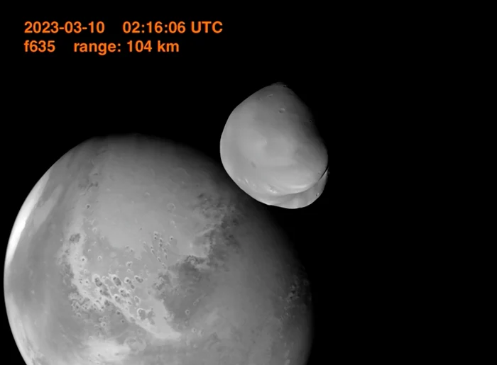 Deimos FOTO Profimedia