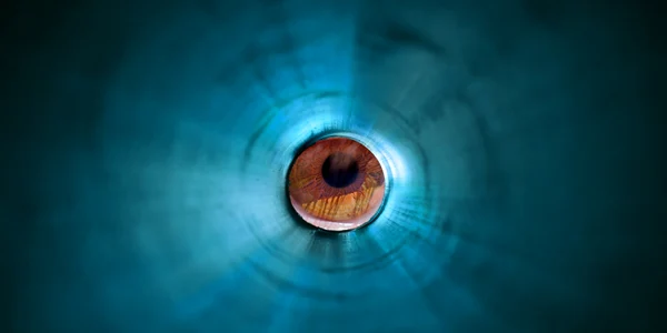shutterstock 1716698341 jpg