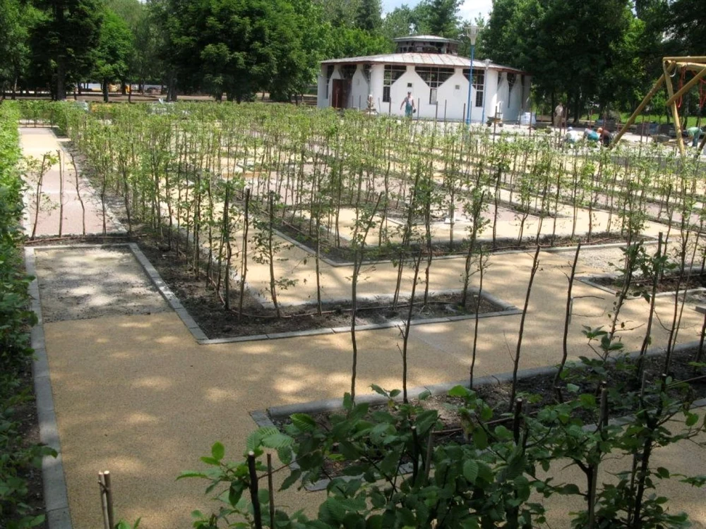 Această clădire din Parcul Copiilor s-a transformat într-un castel de poveste