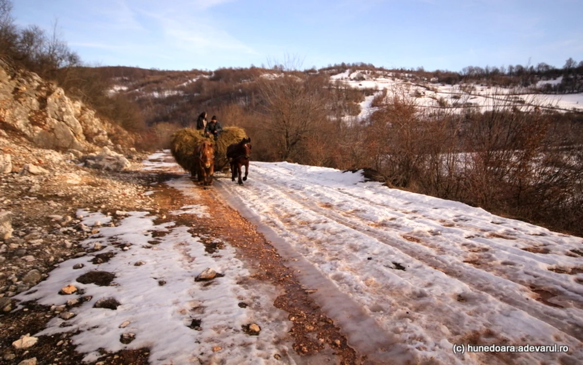Pe vechiul drum al  camioanelor cu bauxită din Ohaba Ponor trec căruţele localnicilor. Foto: Daniel Guţă. ADEVĂRUL
