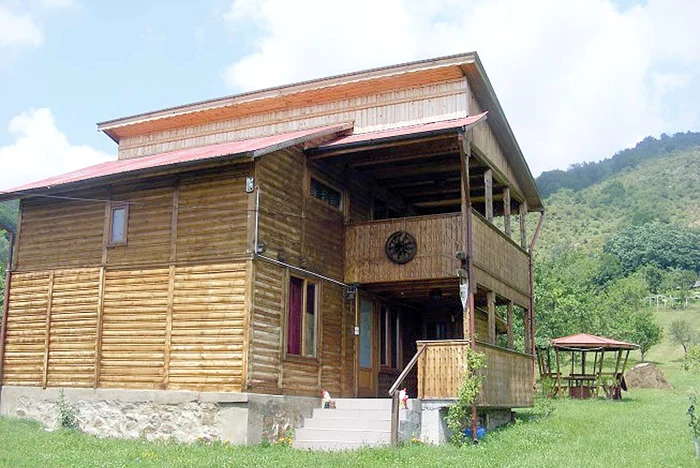 Tânărul a promis că va construi o cabană din lemn FOTO Adevărul