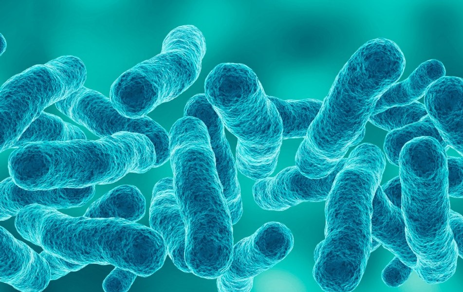 Trei persoane au murit în Polonia în urma contaminării cu bacteria Legionella. Alte 71 de persoane sunt spitalizate
