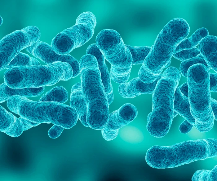  Bacteria Legionella