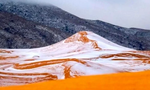 Zăpadă în Sahara după 37 de ani jpeg