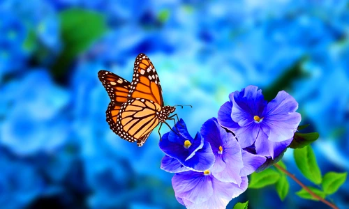 1 shutterstock 1244524324 jpg jpeg