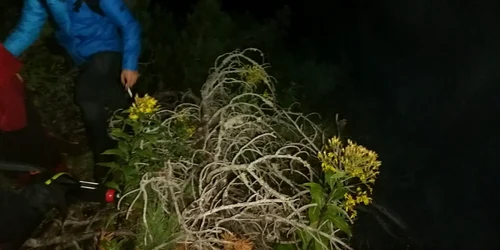 Un tata si fiica lui de 6 ani blocati pe munte