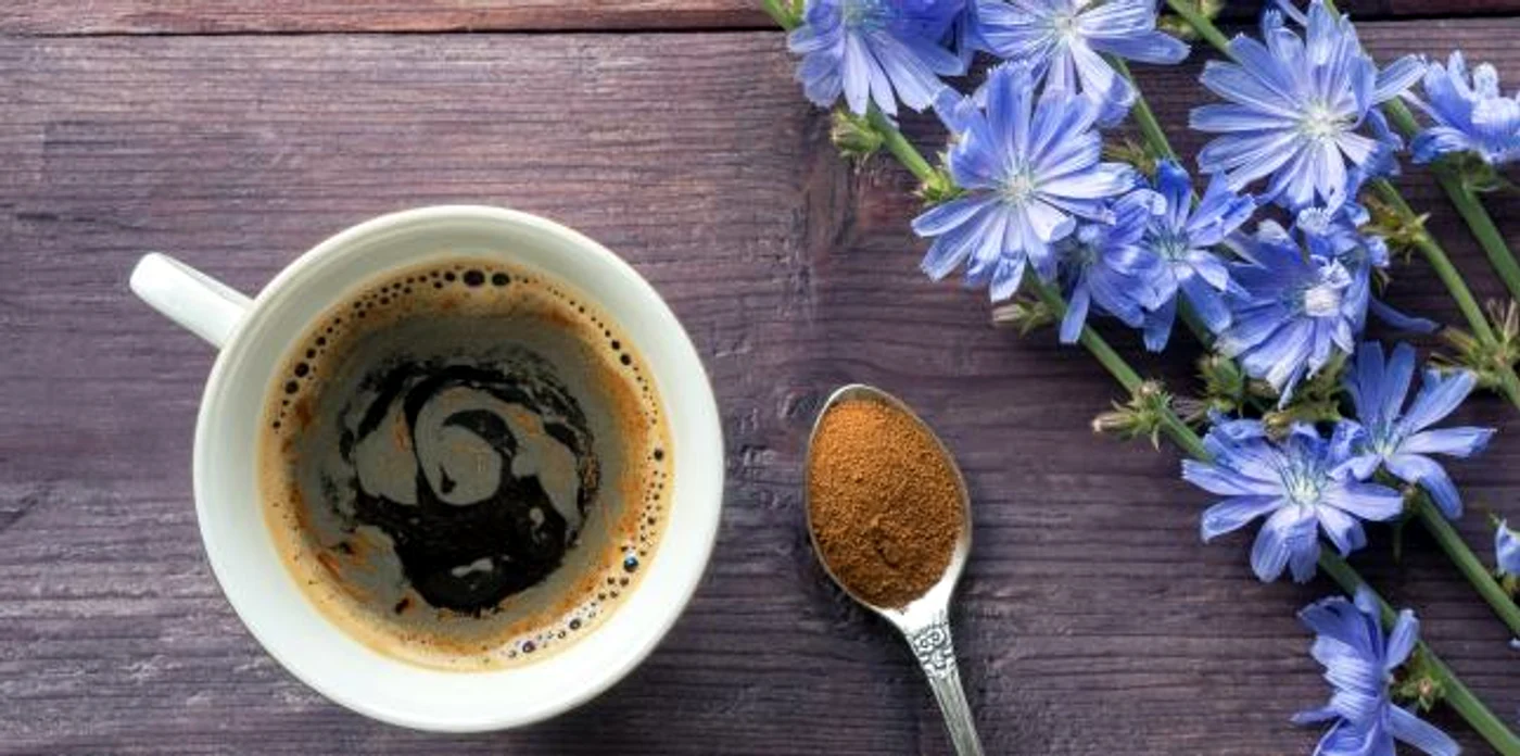 
    Cafeau de cicoare este un tonic pentru organism și nu produce dependență  
