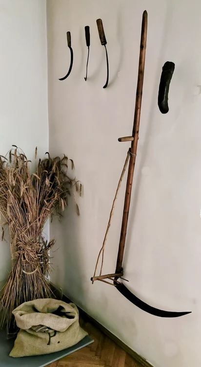  Aspect din expoziția permanentă a Muzeului Etnografic Săcele (Sala dedicată Cultivării pământului)