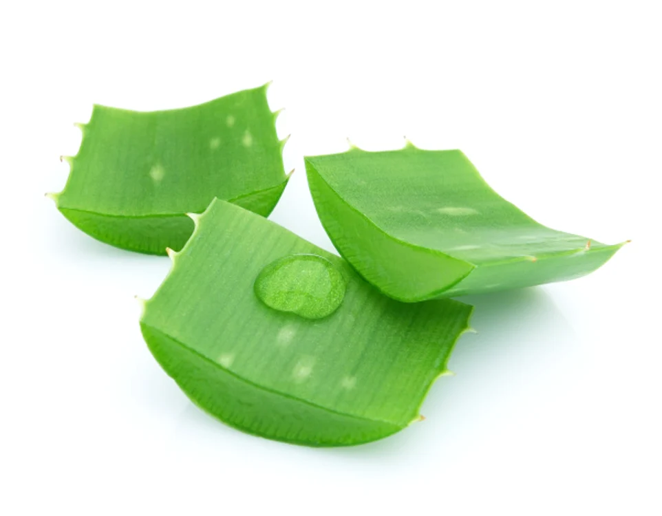 În cazul arsurilor solare de gradul I (fără băşici), fruzele de aloe sunt o soluţie.www.clicksanatate.ro