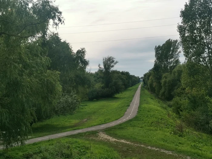 Pista de biciclete de pe partea sârbă FOTO Ștefan Both