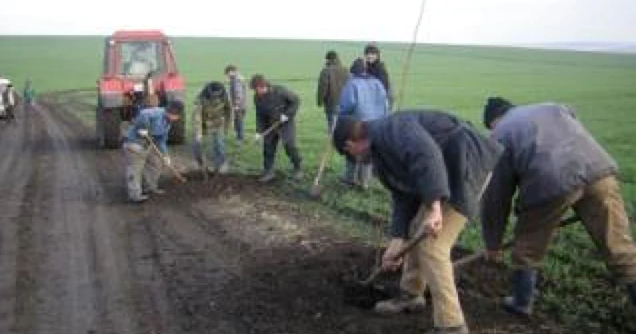 Fermierii sunt controlaţi de către reprezentanţii APIA Arad