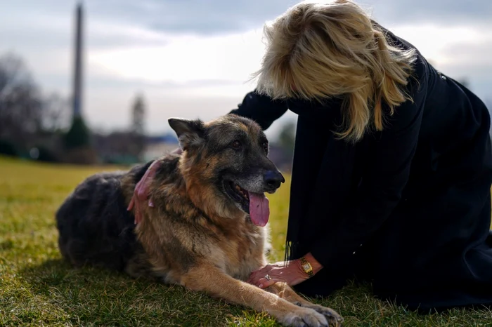 Champ unul dintre ciobăneştii germani ai lui cuplului prezidenţial FOTO EPA-EFE