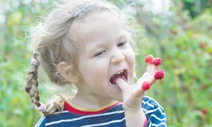 22 23 san 54714937 foto 123rf jpeg