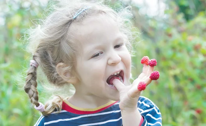 Frăguţele favorizează eliminarea toxinelor