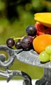 fructe pixabay jpg