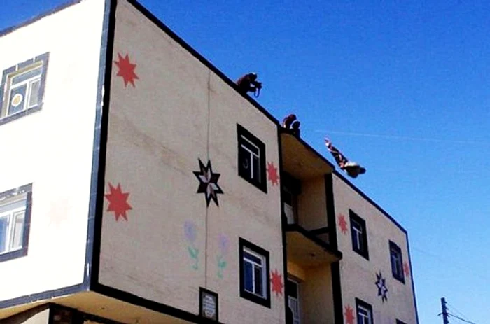 Bărbatul a fost aruncat de pe un acoperiş